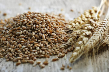 Grains & Seeds